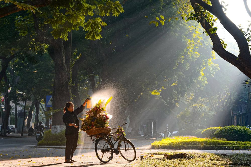 Un venditore ambulante di fiori ad Hanoi